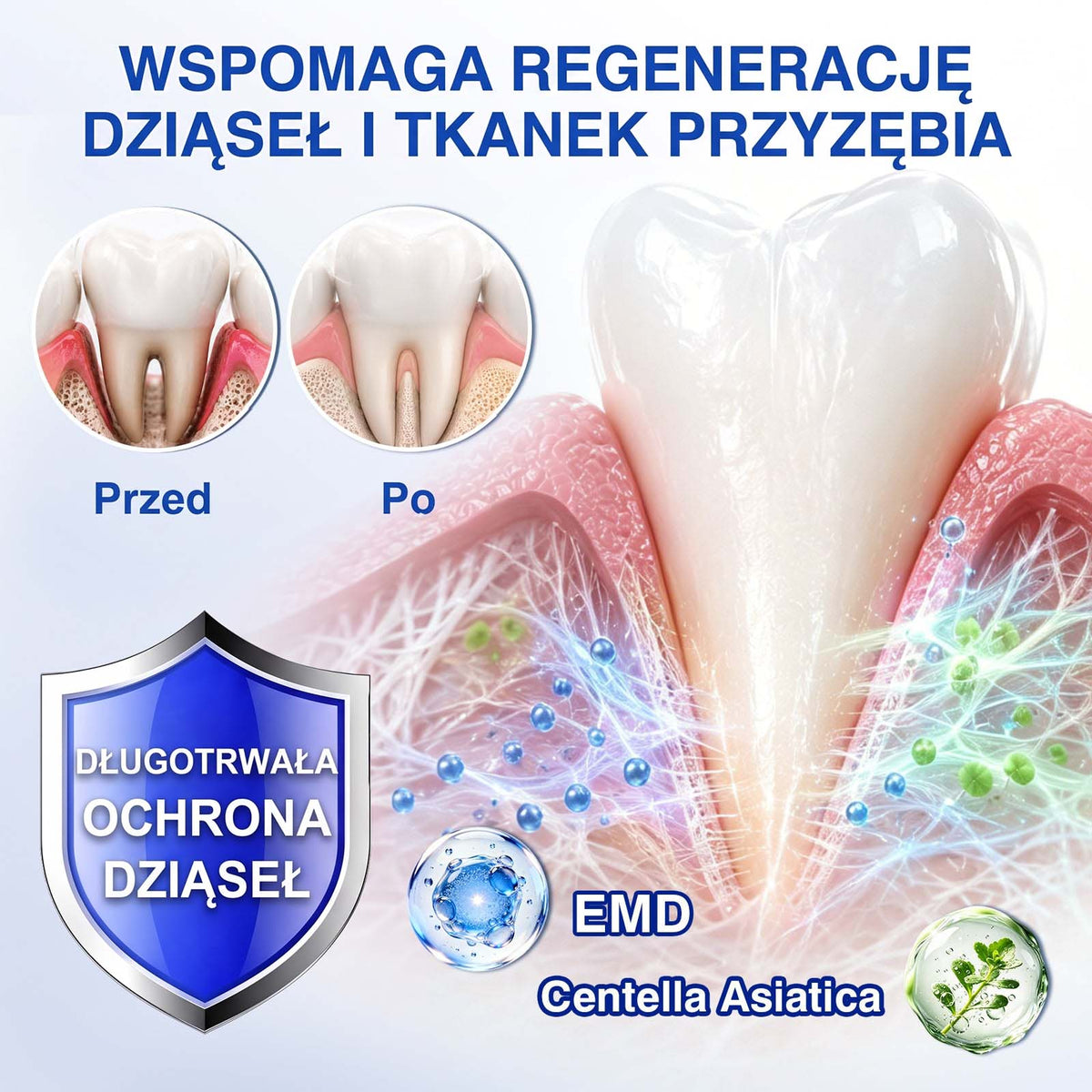 Evolvion® 👩‍⚕️ GumRevive – Zaawansowany żel do pielęgnacji dziąseł, wspierający ich zdrowy i mocny wygląd💎