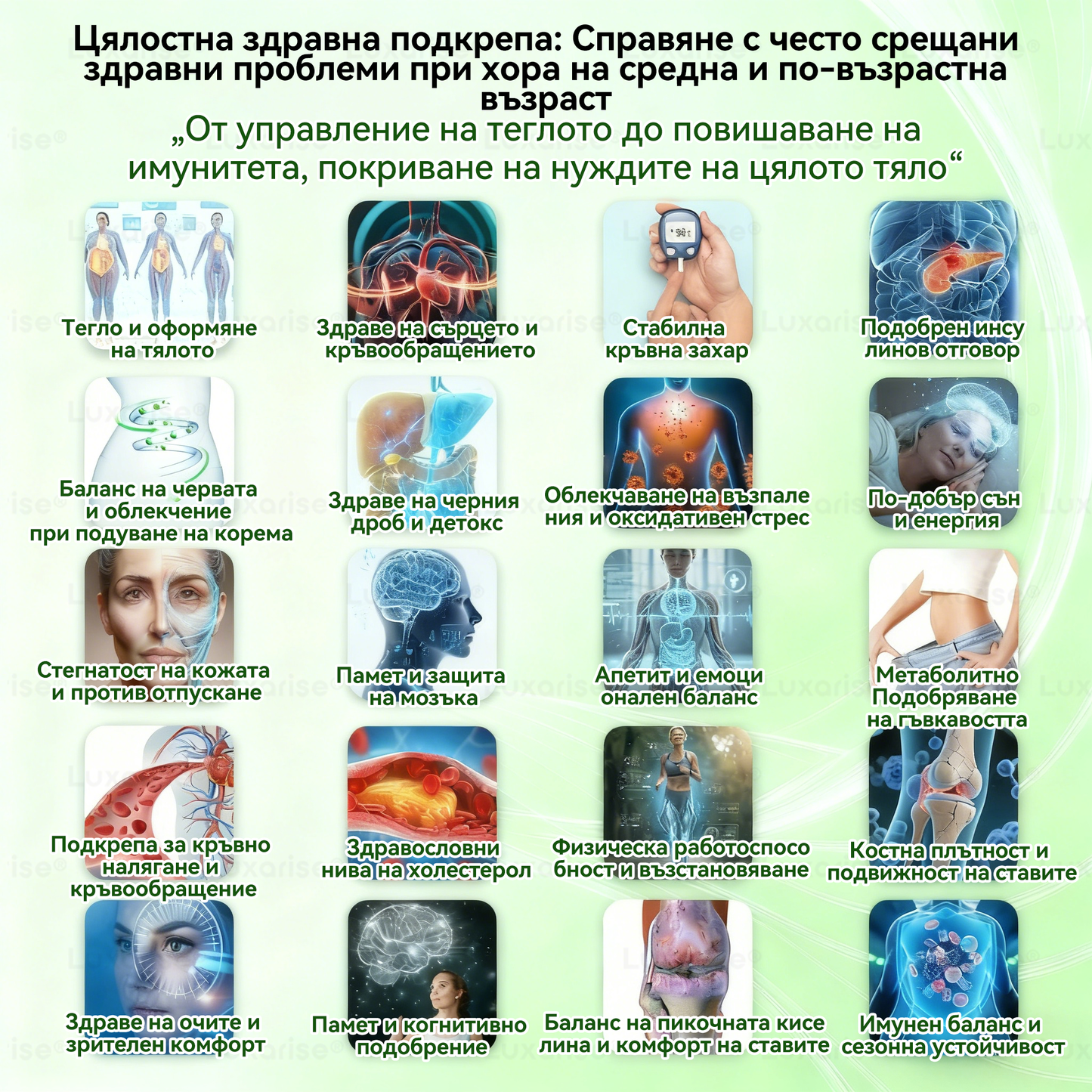 Официален магазин | 🧑‍⚕️𝗟𝘂𝘅𝗮𝗿𝗶𝘀𝗲® МОРИНГА Х БЕРБЕРИН 10-IN-1 Напреднал Нано Микроигли Пластир (Веднъж дневно, видими резултати след 7 дни) ✅ Подходящ при: затлъстяване, диабет, сънна апнея и проблеми със ставите 🌲