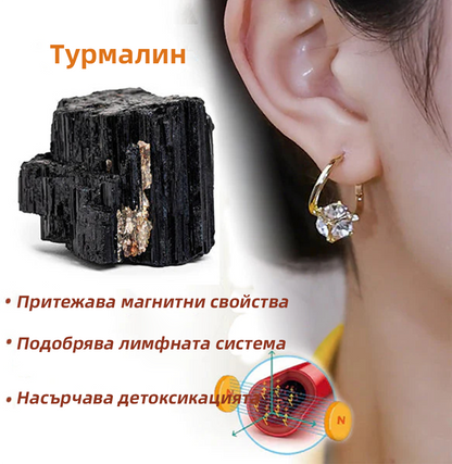 （🎉Коледна промоция - 80% отстъпка）🎄 𝐶𝑍𝑇𝐼𝐶𝐿𝐸™ Би магнитни обеци🔥