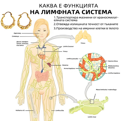 CZTICLE™ Лимфни магнитни обеци (🎄Коледни промоции! 🔥)