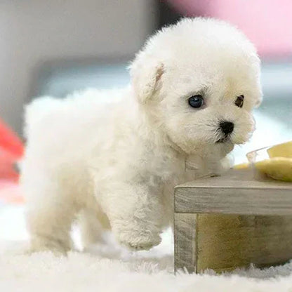 Bionic Puppy (🏆Oykey™ Official Exclusive) - 🎁 Най-добрият новогодишен подарък🛒